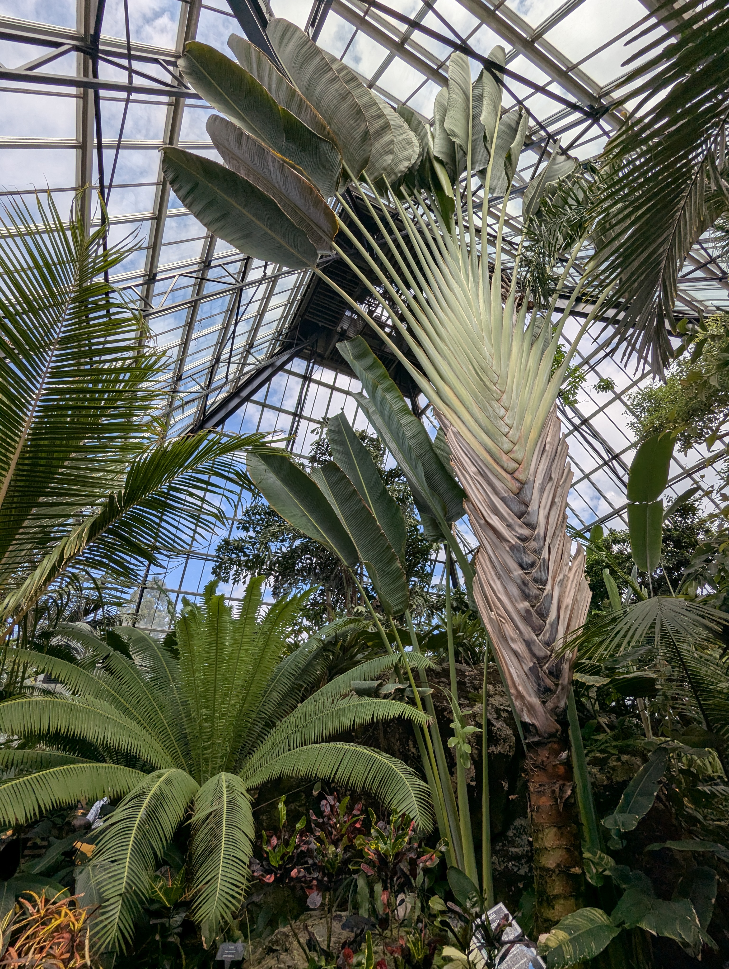 Birthday Trip to Canada, Edmonton, Pyramids, Muttart Observatory